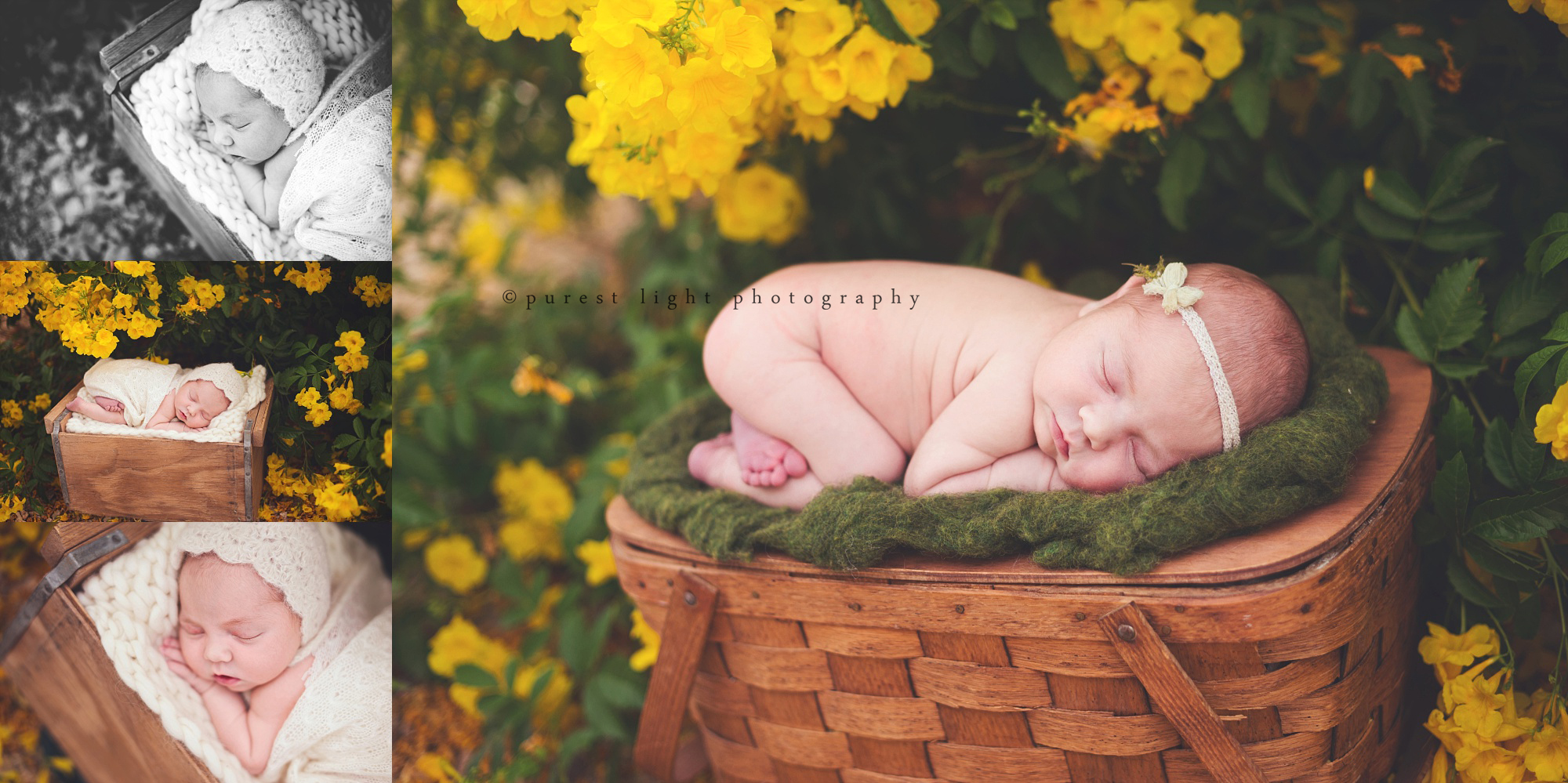 las vegas newborn photographer, las vegas newborn photography, las vegas baby photography, las vegas baby photographer, las vegas baby, las vegas, baby photography, newborn photography, las vegas photography, newborn photographer